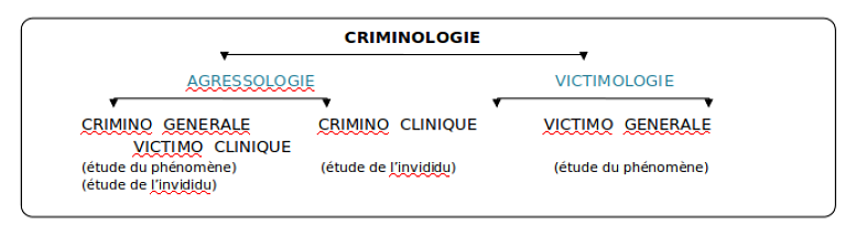 Psycogitatio Blog De Psychologie La Criminologie Ou L Etude Du Phenomene Criminel Psycogitatio Blog De Psychologie